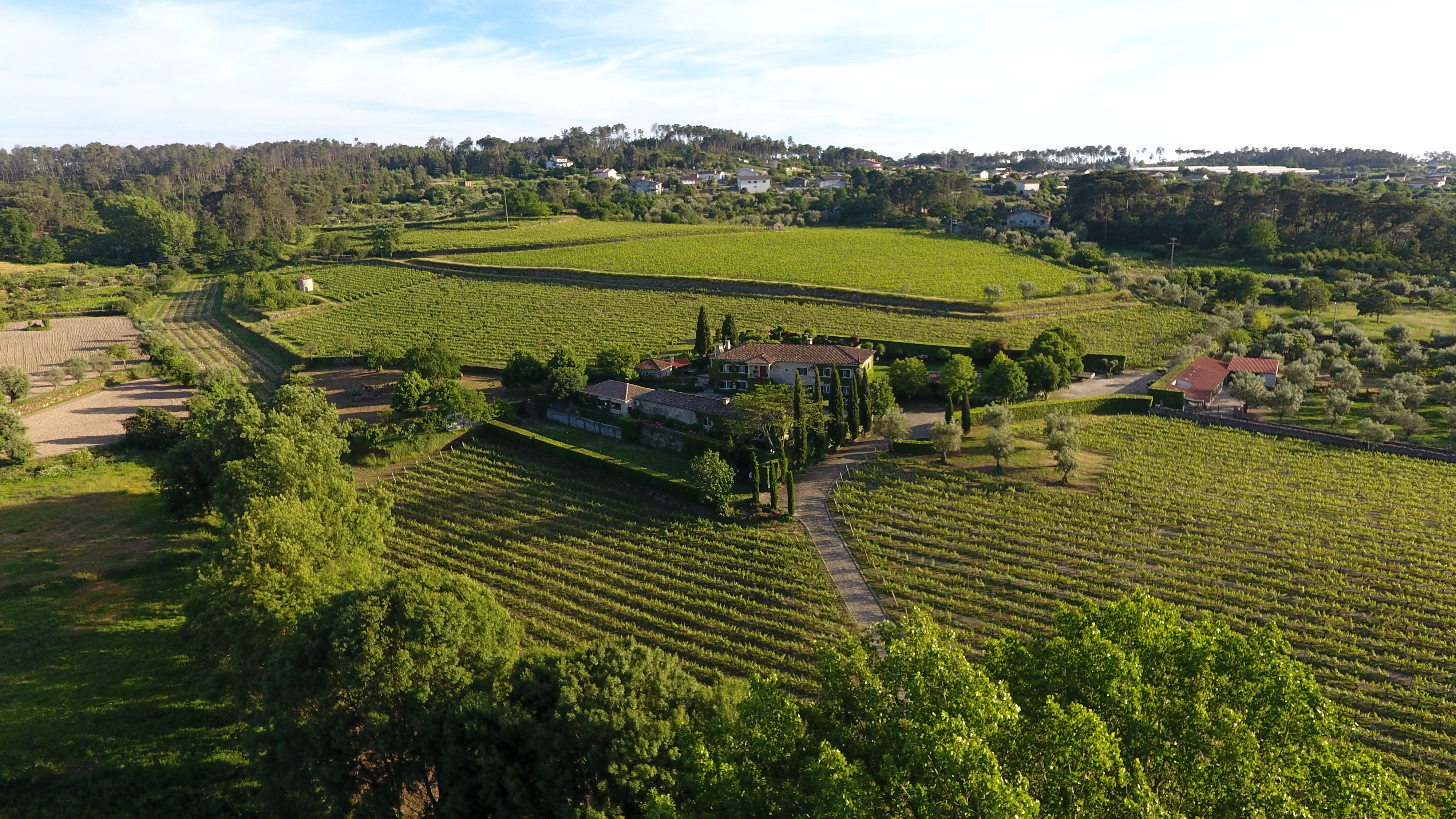 Soito Dao Wines Portugal