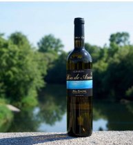 Bodega Tomada de Castro: Ria de Arosa Albarino [60]