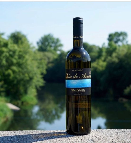 Bodega Tomada de Castro: Ria de Arosa Albarino [60]
